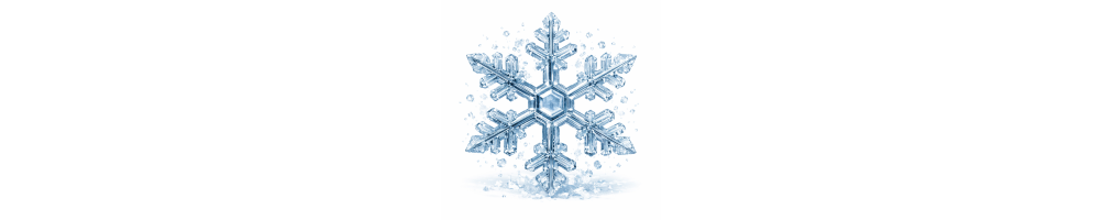 Componenti per Refrigerazione Professionale | Ricambi e Accessori HVAC Coldmarket